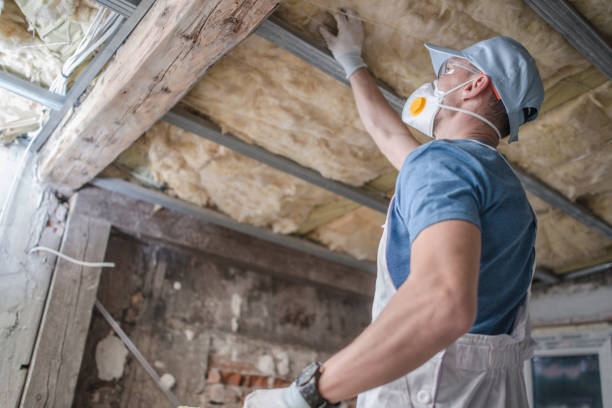 Best Eco-Friendly Insulation in , FL
