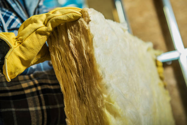 Best Geographic-Specific Insulation Services in , FL