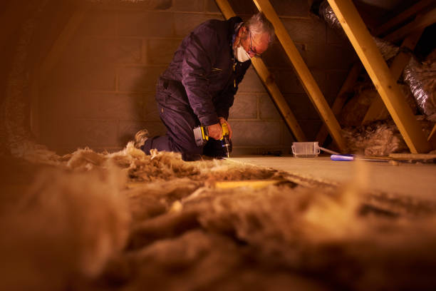 Best Cellulose Insulation in , FL